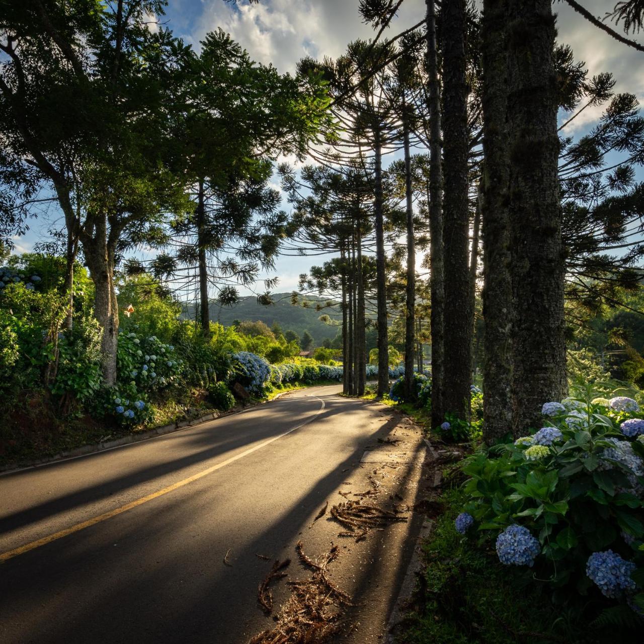 Hotel Fioreze Chales กรามาโด ภายนอก รูปภาพ